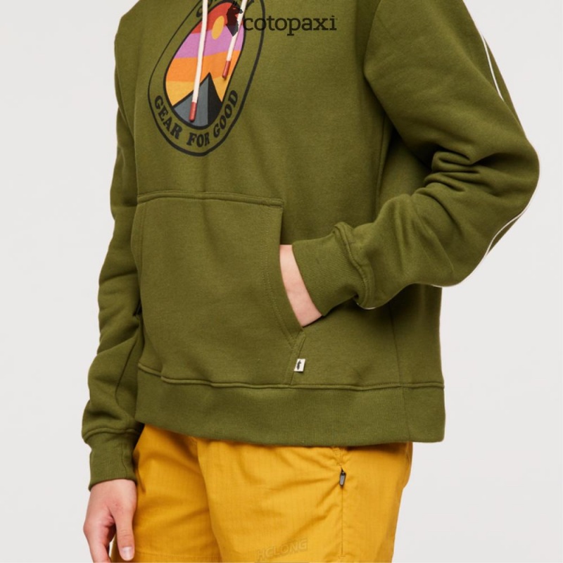 Cotopaxi Sunny Side Pullover Hoodie Pine | BZ47-Z2-RA