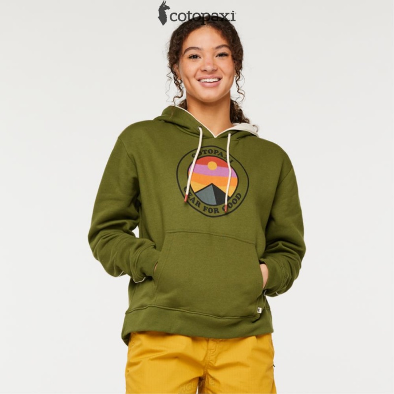 Cotopaxi Sunny Side Pullover Hoodie Pine | BZ47-Z2-RA