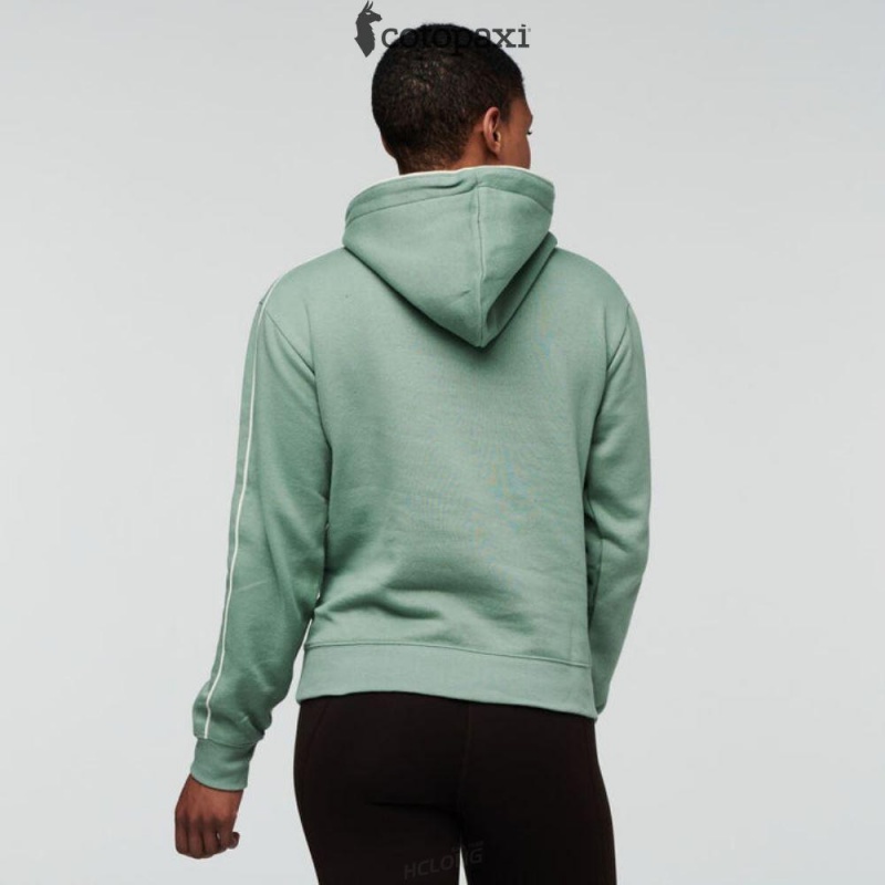 Cotopaxi Sunny Side Pullover Hoodie Silver Leaf | SM83-X0-HA