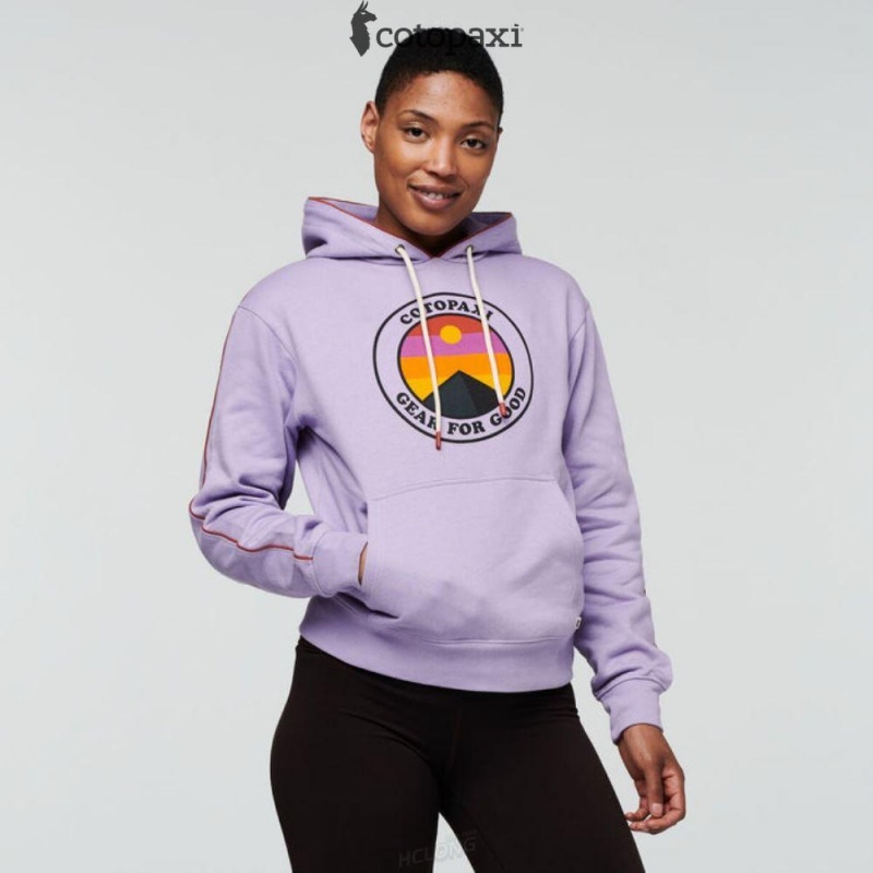 Cotopaxi Sunny Side Pullover Hoodie Thistle | GZ24-Y7-WU