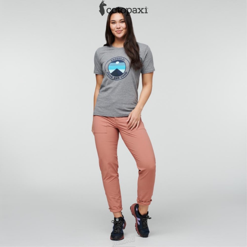 Cotopaxi Sunny Side T-Shirt Heather Grey | TX34-K4-PA