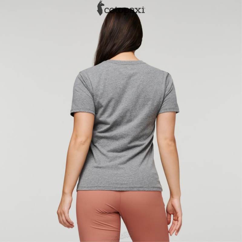 Cotopaxi Sunny Side T-Shirt Heather Grey | TX34-K4-PA