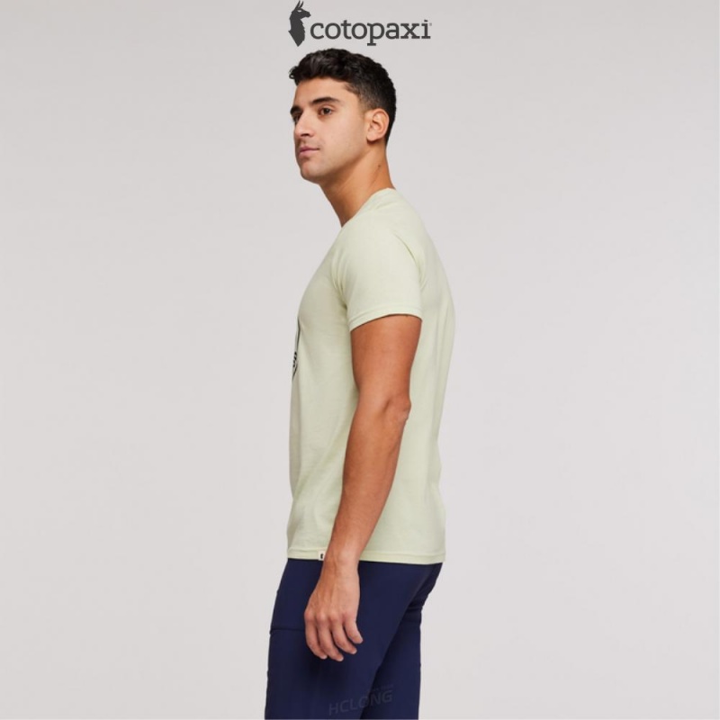 Cotopaxi Sunny Side T-Shirt Lichen | ZN80-A3-HI