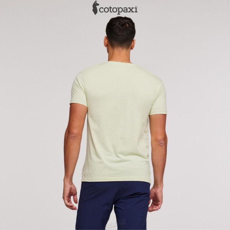 Cotopaxi Sunny Side T-Shirt Lichen | ZN80-A3-HI