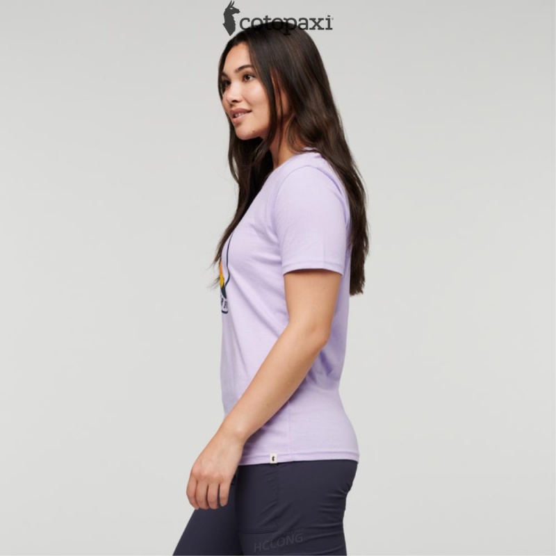 Cotopaxi Sunny Side T-Shirt Thistle | HA40-P9-PJ