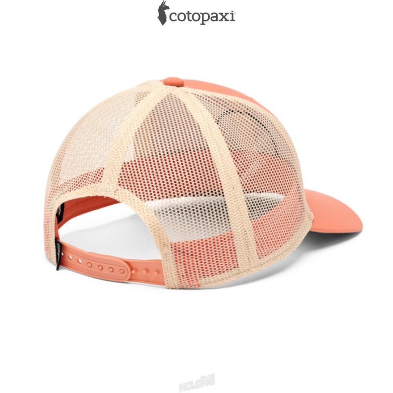 Cotopaxi Sunny Side Trucker Hat Nectar | SH45-T3-ZZ