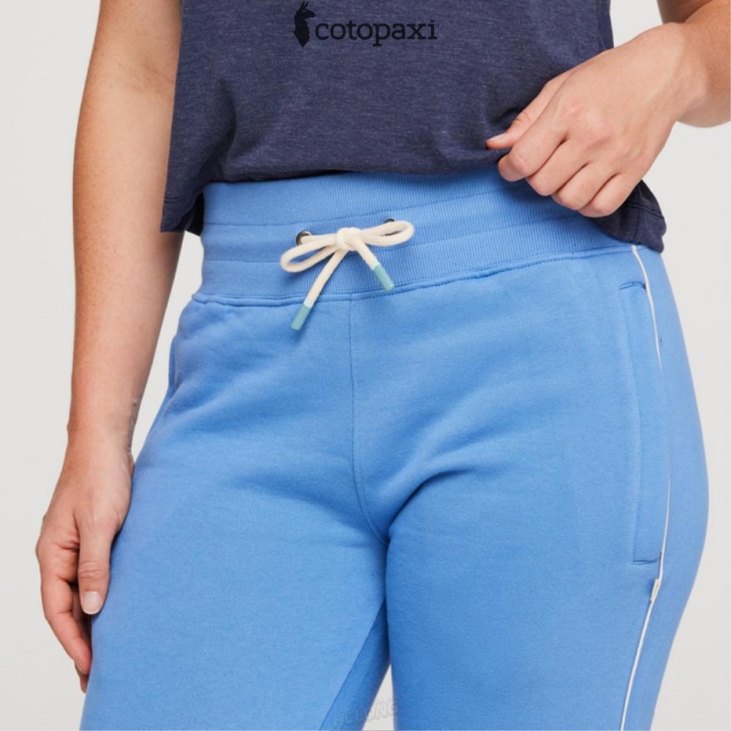 Cotopaxi Sweatpant Lupine | XU77-M2-MF