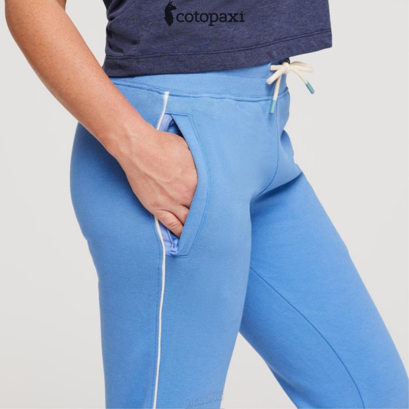 Cotopaxi Sweatpant Lupine | XU77-M2-MF