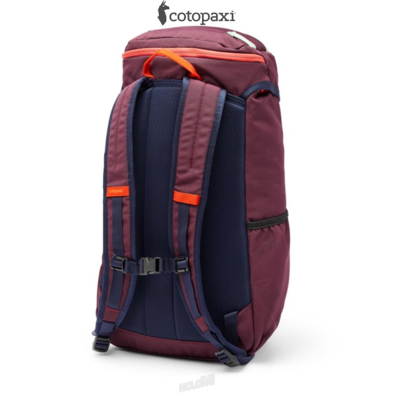 Cotopaxi Tapa 22L Backpack - Cada Día Wine | FG77-A6-YO