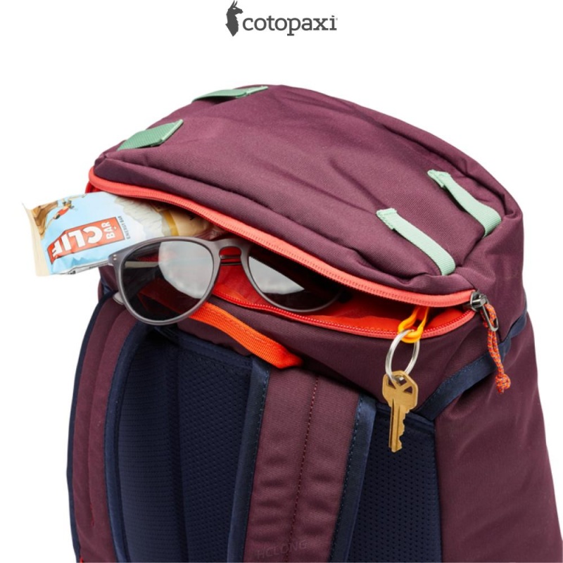 Cotopaxi Tapa 22L Backpack - Cada Día Wine | FG77-A6-YO