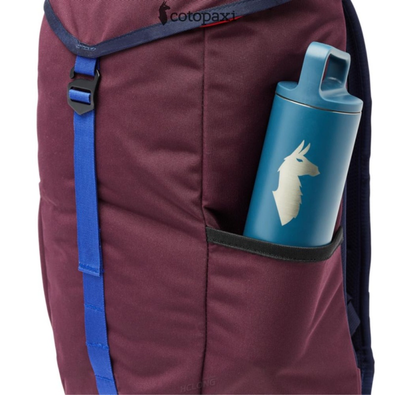 Cotopaxi Tapa 22L Backpack - Cada Día Wine | FG77-A6-YO