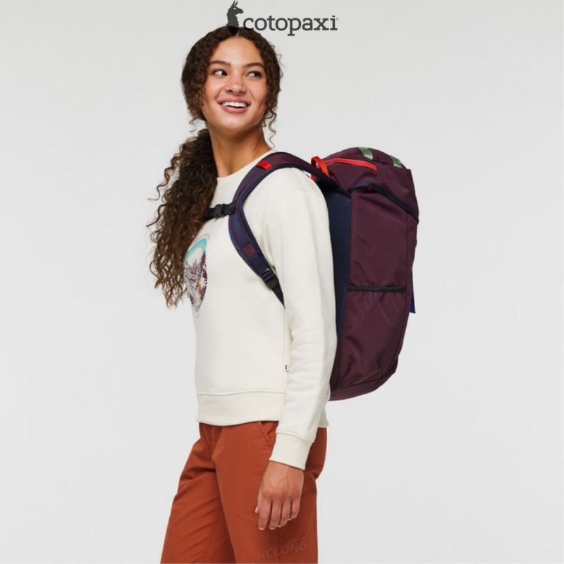 Cotopaxi Tapa 22L Backpack - Cada Día Wine | FG77-A6-YO