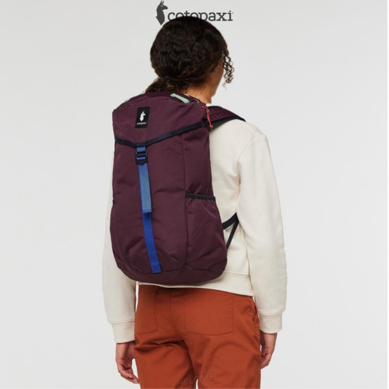 Cotopaxi Tapa 22L Backpack - Cada Día Wine | FG77-A6-YO