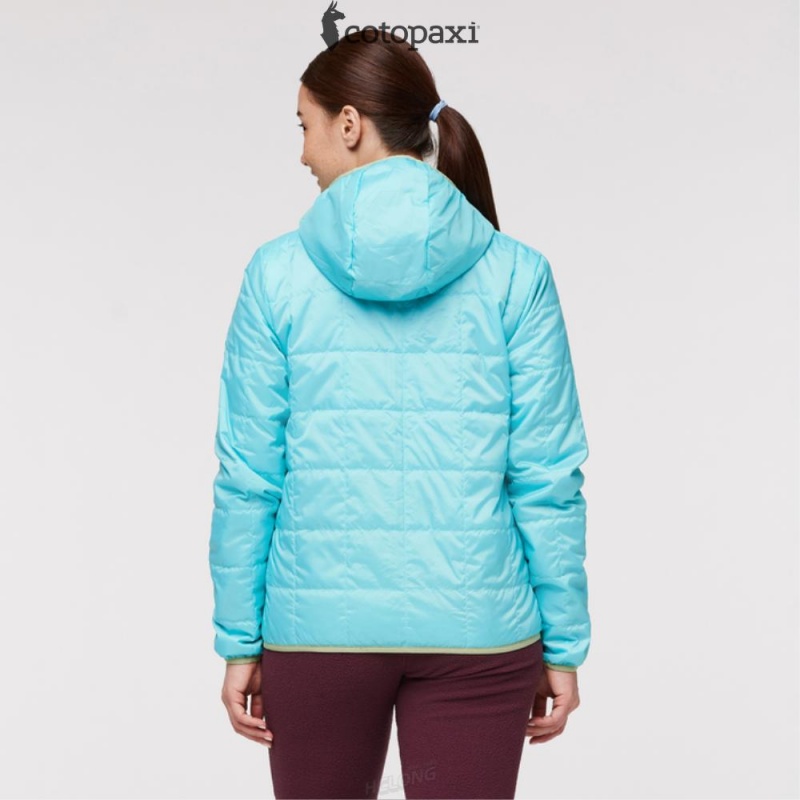 Cotopaxi Teca Cálido Hooded Jacket Blue Algae | DB19-Q3-IF