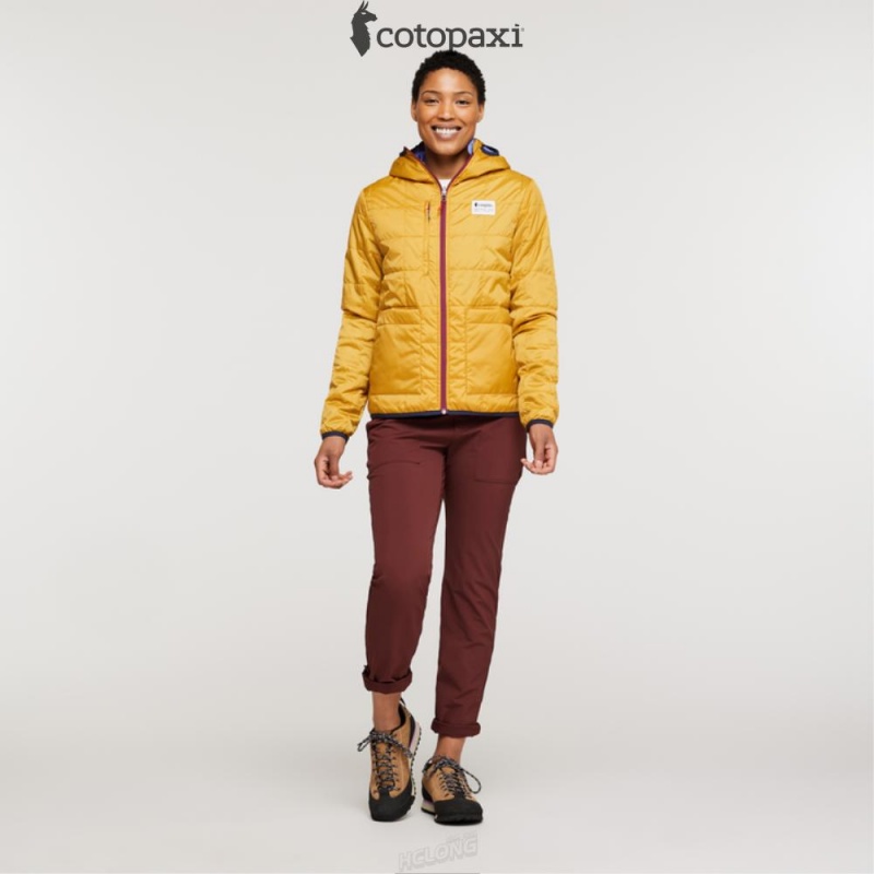 Cotopaxi Teca Cálido Hooded Jacket Honeybee | YW76-B2-LP