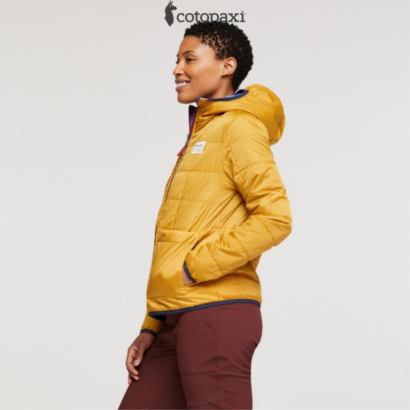 Cotopaxi Teca Cálido Hooded Jacket Honeybee | YW76-B2-LP