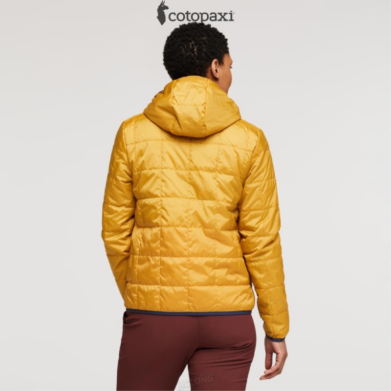 Cotopaxi Teca Cálido Hooded Jacket Honeybee | YW76-B2-LP