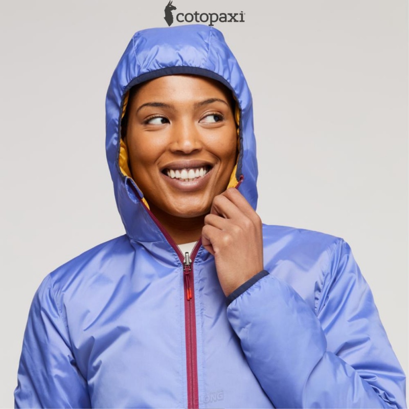 Cotopaxi Teca Cálido Hooded Jacket Honeybee | YW76-B2-LP