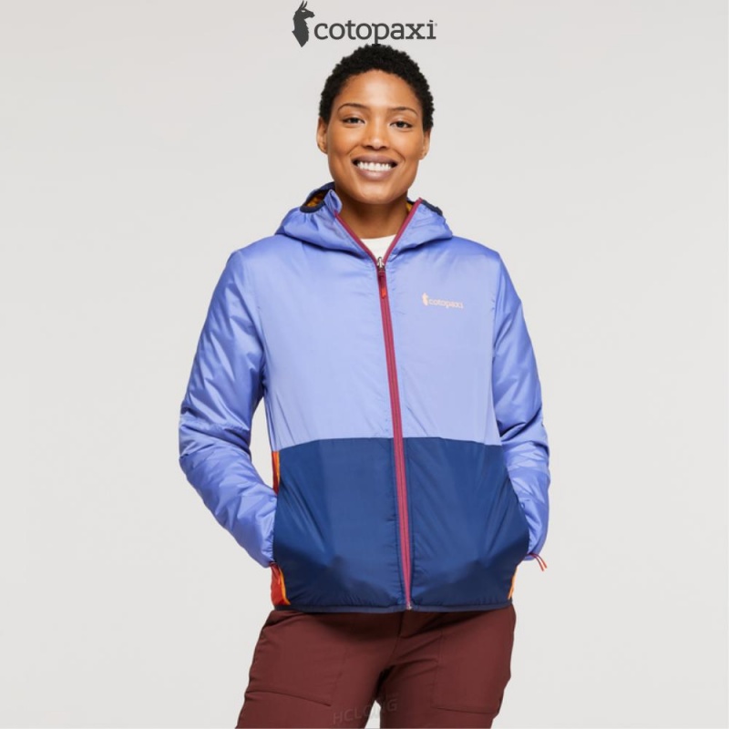 Cotopaxi Teca Cálido Hooded Jacket Honeybee | YW76-B2-LP