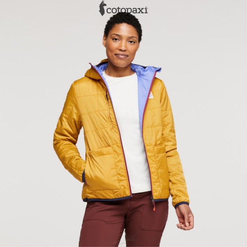 Cotopaxi Teca Cálido Hooded Jacket Honeybee | VC44-C7-UX