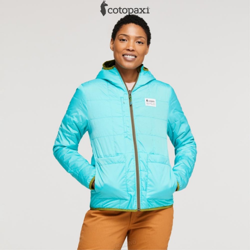 Cotopaxi Teca Cálido Hooded Jacket Lafayette | HM30-N4-FK