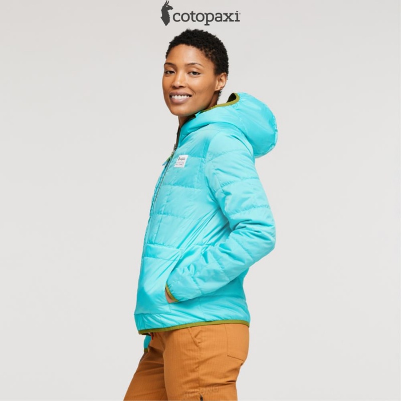 Cotopaxi Teca Cálido Hooded Jacket Lafayette | HM30-N4-FK