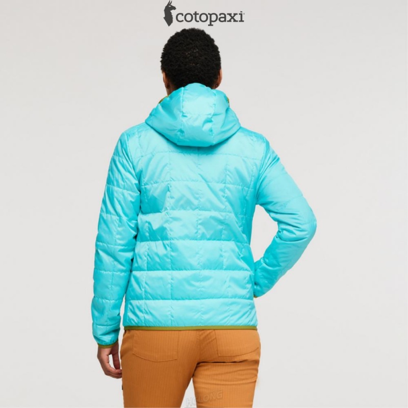 Cotopaxi Teca Cálido Hooded Jacket Lafayette | HM30-N4-FK