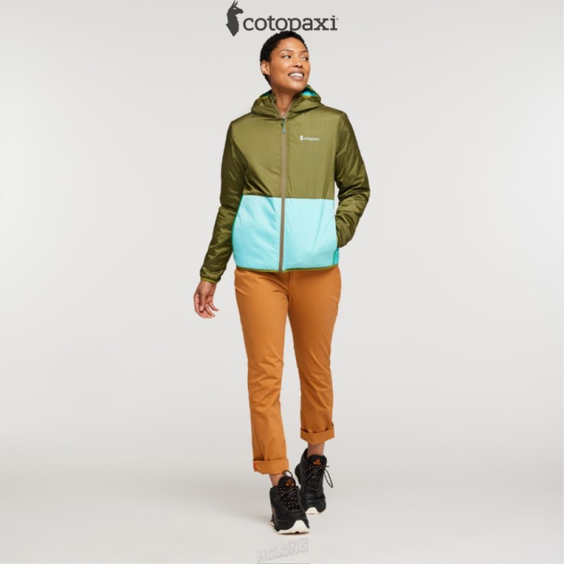 Cotopaxi Teca Cálido Hooded Jacket Lafayette | HM30-N4-FK