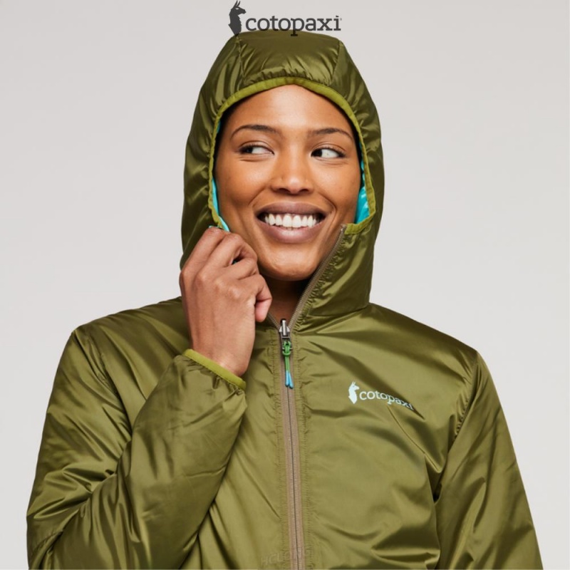 Cotopaxi Teca Cálido Hooded Jacket Lafayette | HM30-N4-FK