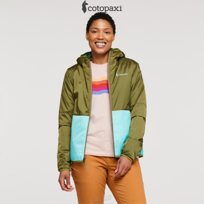 Cotopaxi Teca Cálido Hooded Jacket Lafayette | HM30-N4-FK