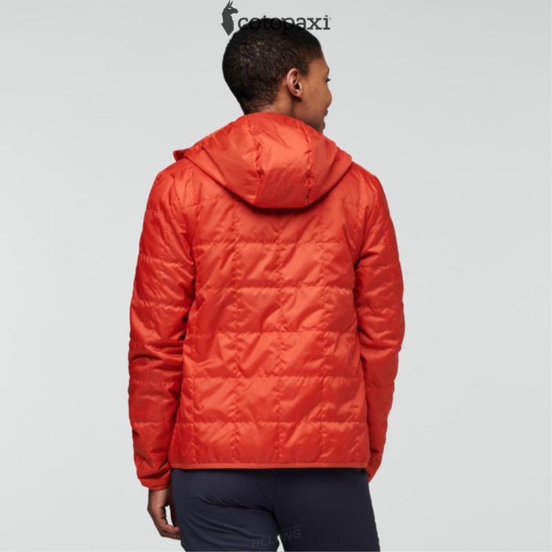 Cotopaxi Teca Cálido Hooded Jacket Rocket Science | QF64-D8-JT