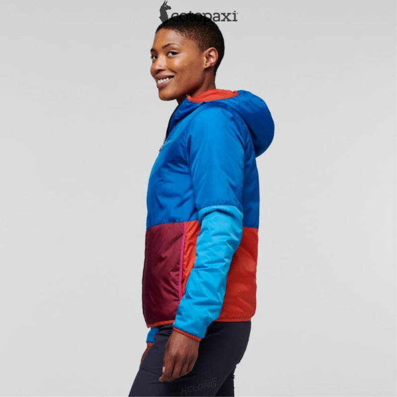 Cotopaxi Teca Cálido Hooded Jacket Rocket Science | QF64-D8-JT