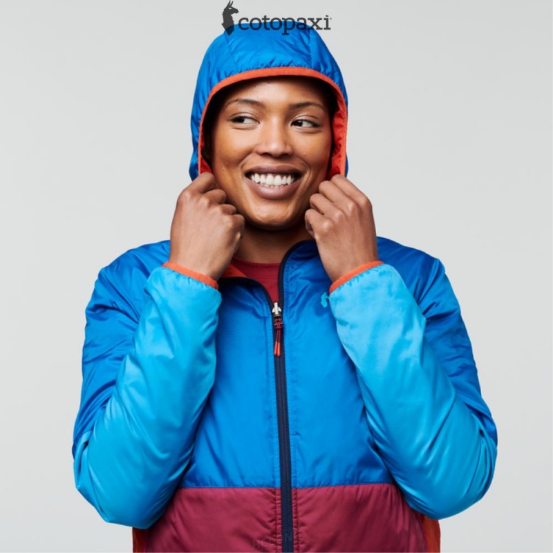 Cotopaxi Teca Cálido Hooded Jacket Rocket Science | QF64-D8-JT