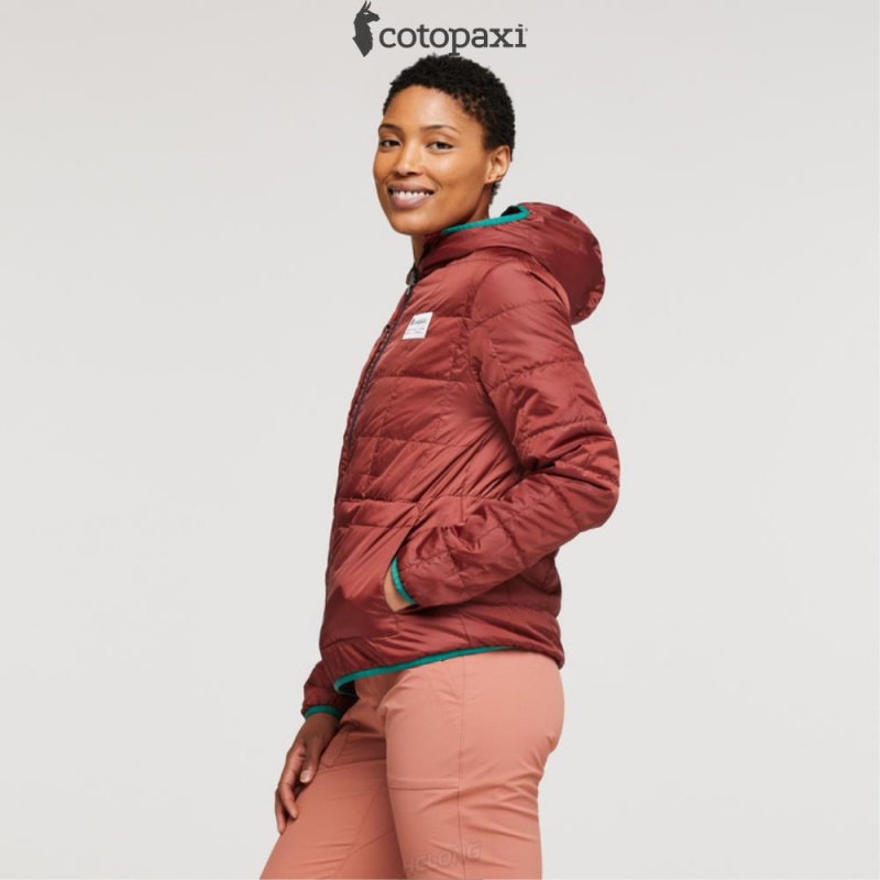 Cotopaxi Teca Cálido Hooded Jacket Spicy Sweet | YY31-L9-EB