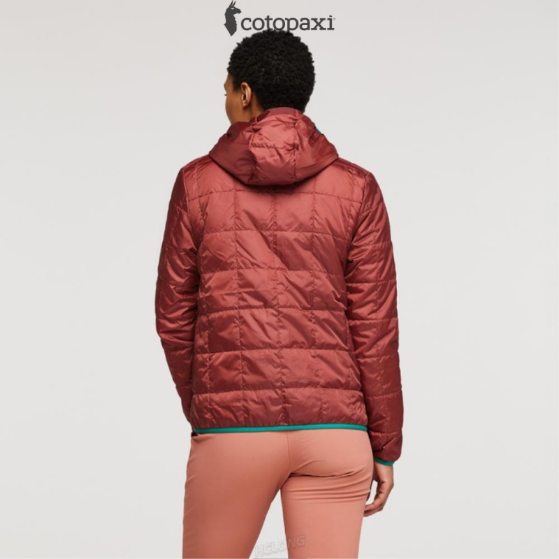 Cotopaxi Teca Cálido Hooded Jacket Spicy Sweet | YY31-L9-EB