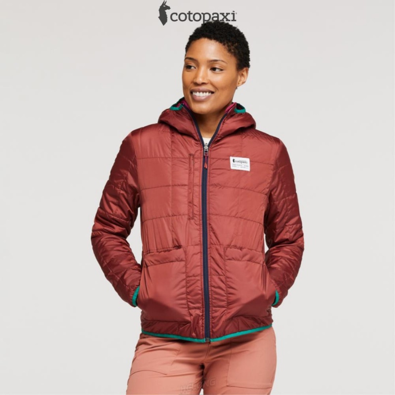 Cotopaxi Teca Cálido Hooded Jacket Spicy Sweet | YY31-L9-EB