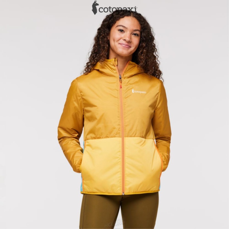 Cotopaxi Teca Cálido Hooded Jacket - Print Eat Wheat | JB14-F9-FC