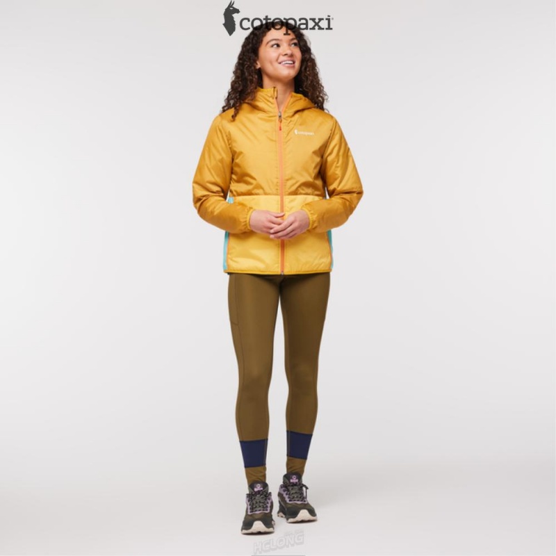 Cotopaxi Teca Cálido Hooded Jacket - Print Eat Wheat | JB14-F9-FC