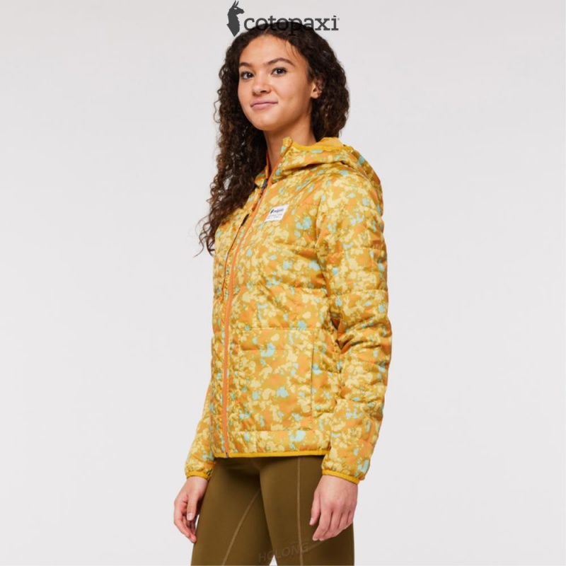 Cotopaxi Teca Cálido Hooded Jacket - Print Eat Wheat | JB14-F9-FC