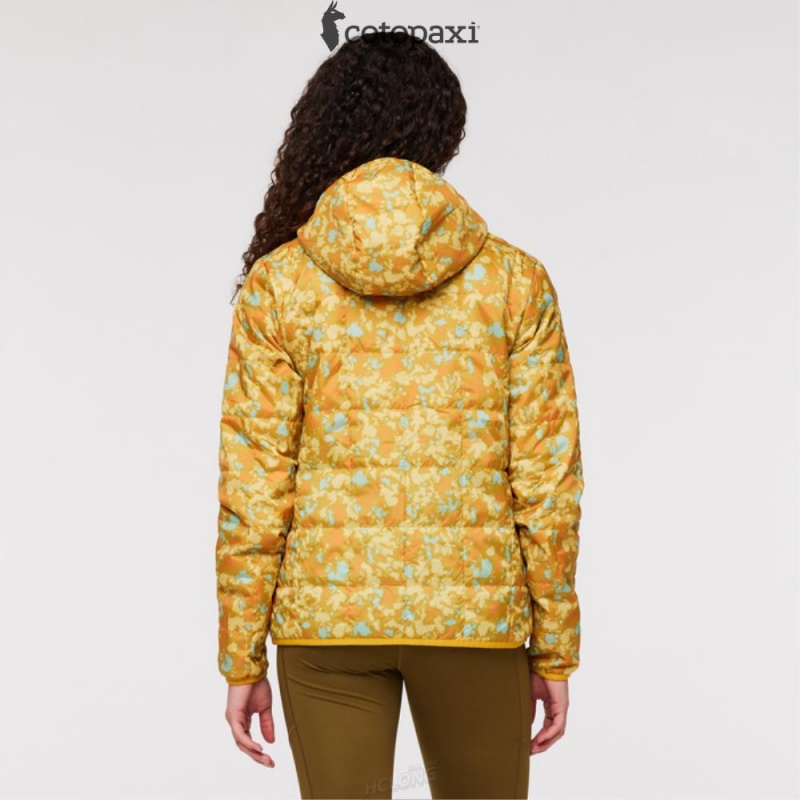 Cotopaxi Teca Cálido Hooded Jacket - Print Eat Wheat | JB14-F9-FC