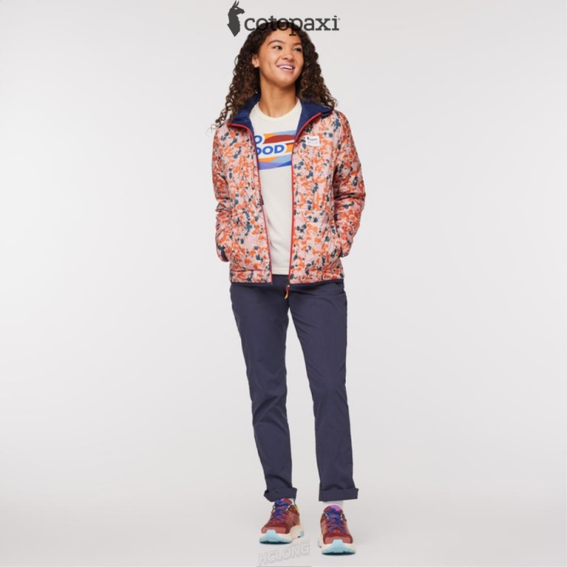 Cotopaxi Teca Cálido Hooded Jacket - Print Wink Wink | XM56-D1-MD