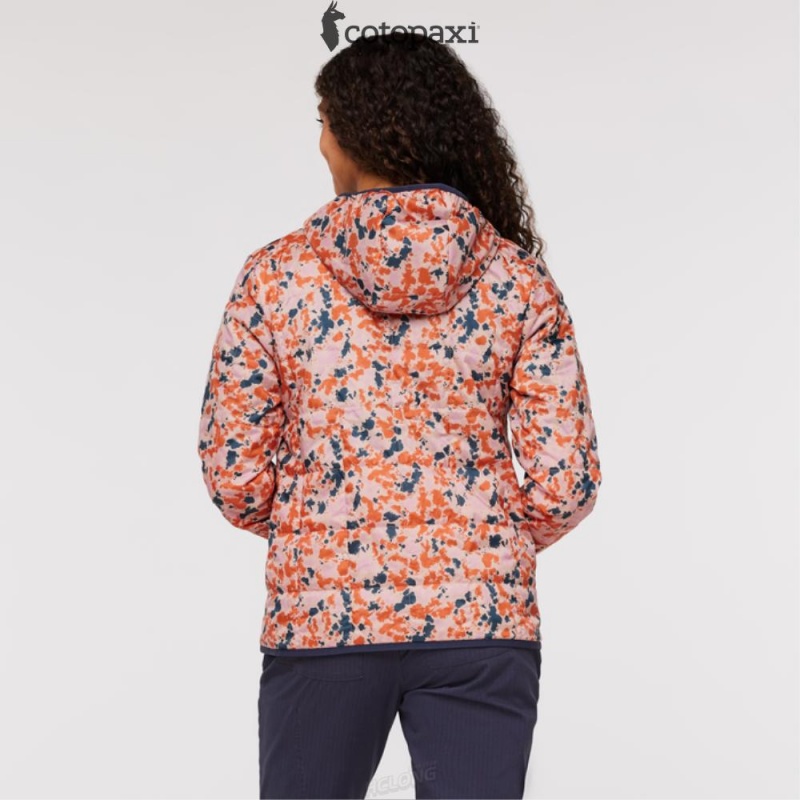 Cotopaxi Teca Cálido Hooded Jacket - Print Wink Wink | XM56-D1-MD