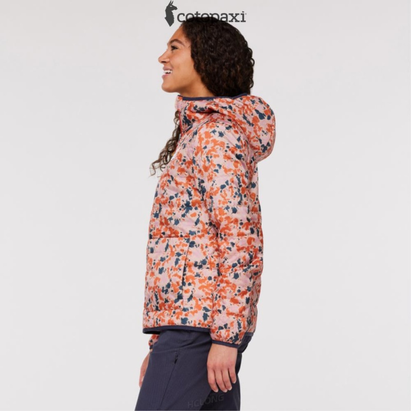 Cotopaxi Teca Cálido Hooded Jacket - Print Wink Wink | XM56-D1-MD