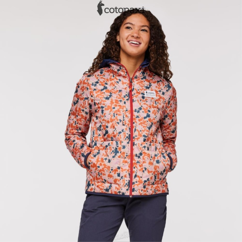 Cotopaxi Teca Cálido Hooded Jacket - Print Wink Wink | XM56-D1-MD