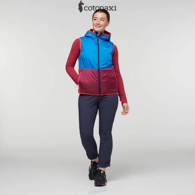 Cotopaxi Teca Cálido Hooded Vest Provence | EL84-H2-RC