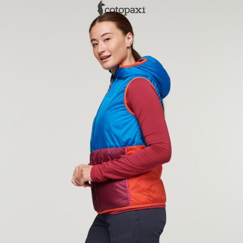 Cotopaxi Teca Cálido Hooded Vest Provence | EL84-H2-RC