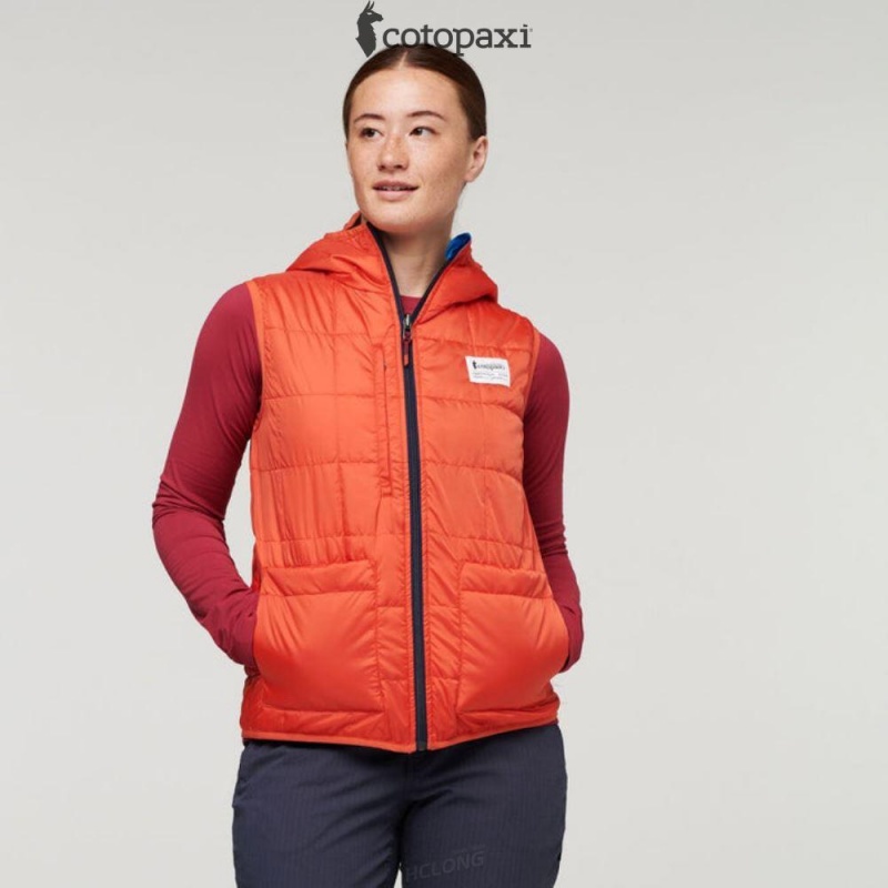 Cotopaxi Teca Cálido Hooded Vest Provence | EL84-H2-RC