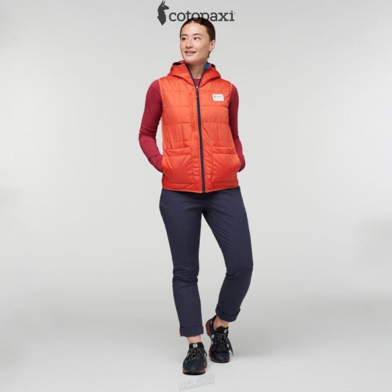 Cotopaxi Teca Cálido Hooded Vest Provence | EL84-H2-RC