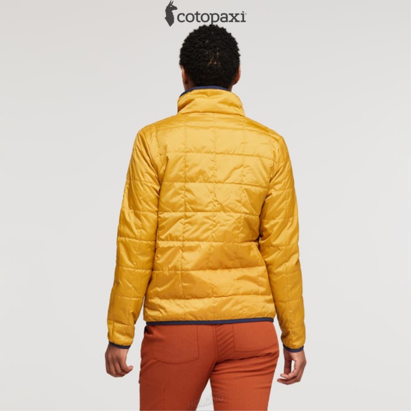 Cotopaxi Teca Cálido Jacket Honeybee | FE37-X3-PR