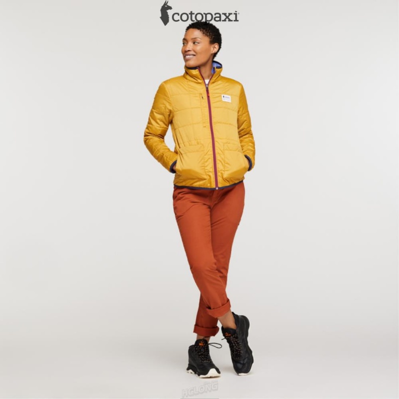 Cotopaxi Teca Cálido Jacket Honeybee | RF77-Q0-FV